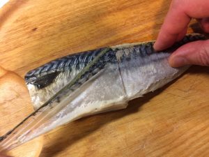 removing upper skin of a mackerel photo: ©️Nel Brouwer-van den Bergh