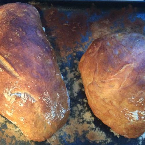 Bread, dough and batter, Ciabatta fresh from oven photo: ©️Nel Brouwer-van den Bergh
