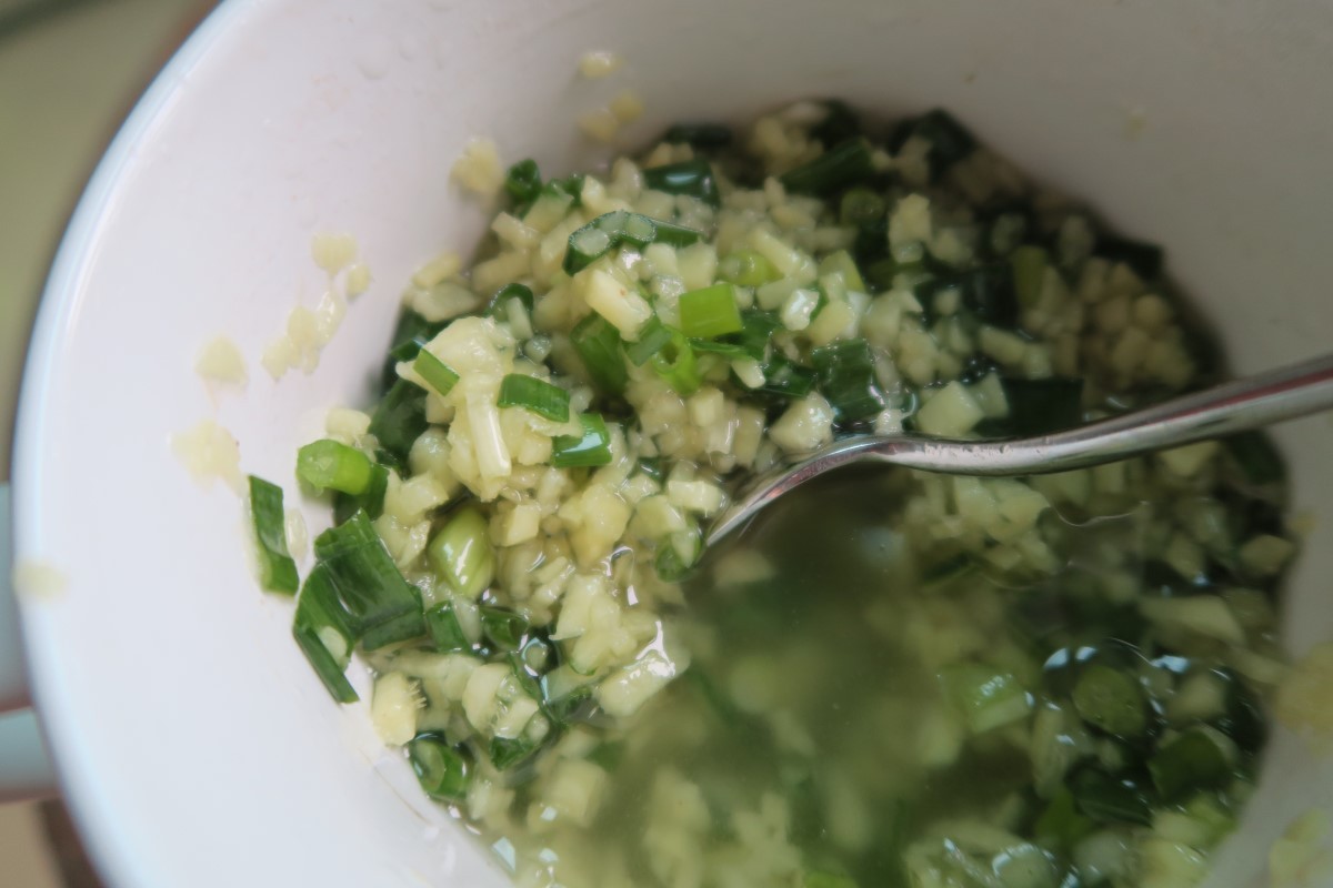 ginger scallion sauce close-up ©️Nel Brouwer-van den Bergh