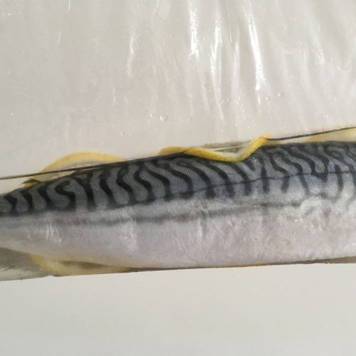 brined mackerel halvein vinegar in zip log bag photo: ©️Nel Brouwer-van den Bergh