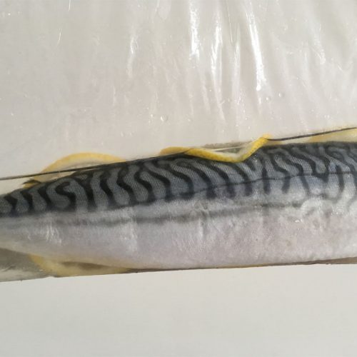 How To Preserve Mackerel?