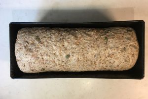 multi seed bread dough levened in loaf pan photo: ©️Wilfried Brouwer