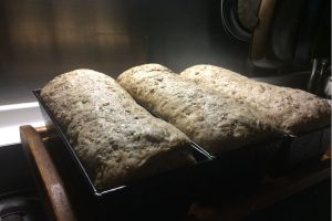 multi-grain-and-seed loafs just before going in the oven photo: ©️Nel Brouwer-van den Bergh