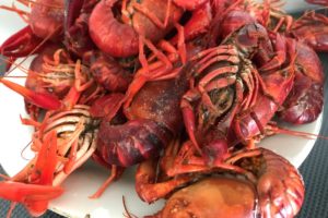 briefly cooked crayfish ©️ Nel Brouwer-van den Bergh