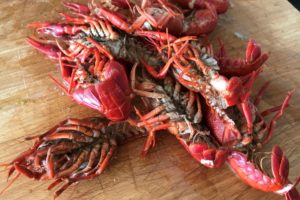 briefly cooked crayfish cut in half ©️ Nel Brouwer-van den Bergh
