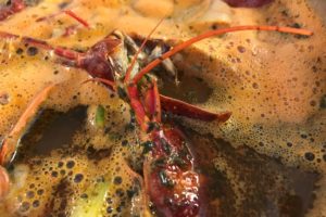Crayfish broth ©️ Nel Brouwer-van den Bergh
