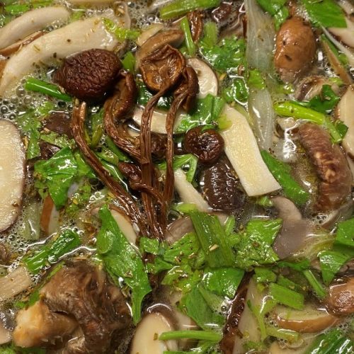 Mushroom Broth ©️ Nel Brouwer-van den Bergh