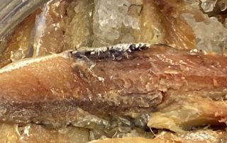 Salt cured anchovies ©️ Nel Brouwer-van den Bergh