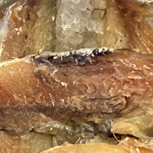 Salt cured anchovies ©️ Nel Brouwer-van den Bergh